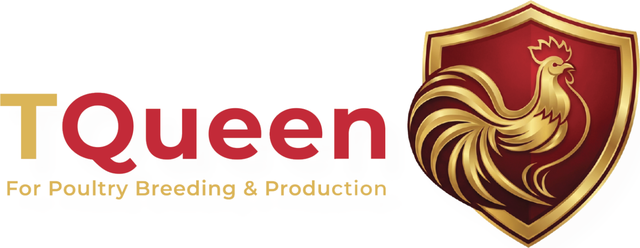 TQueen for Poultry Breeding & Production